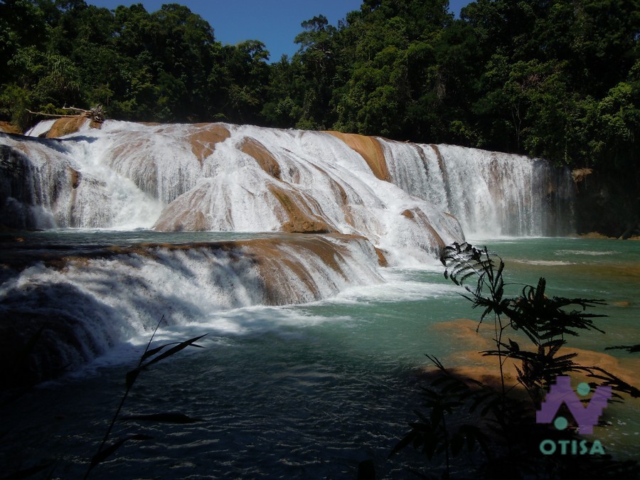 Clásicos de Chiapas