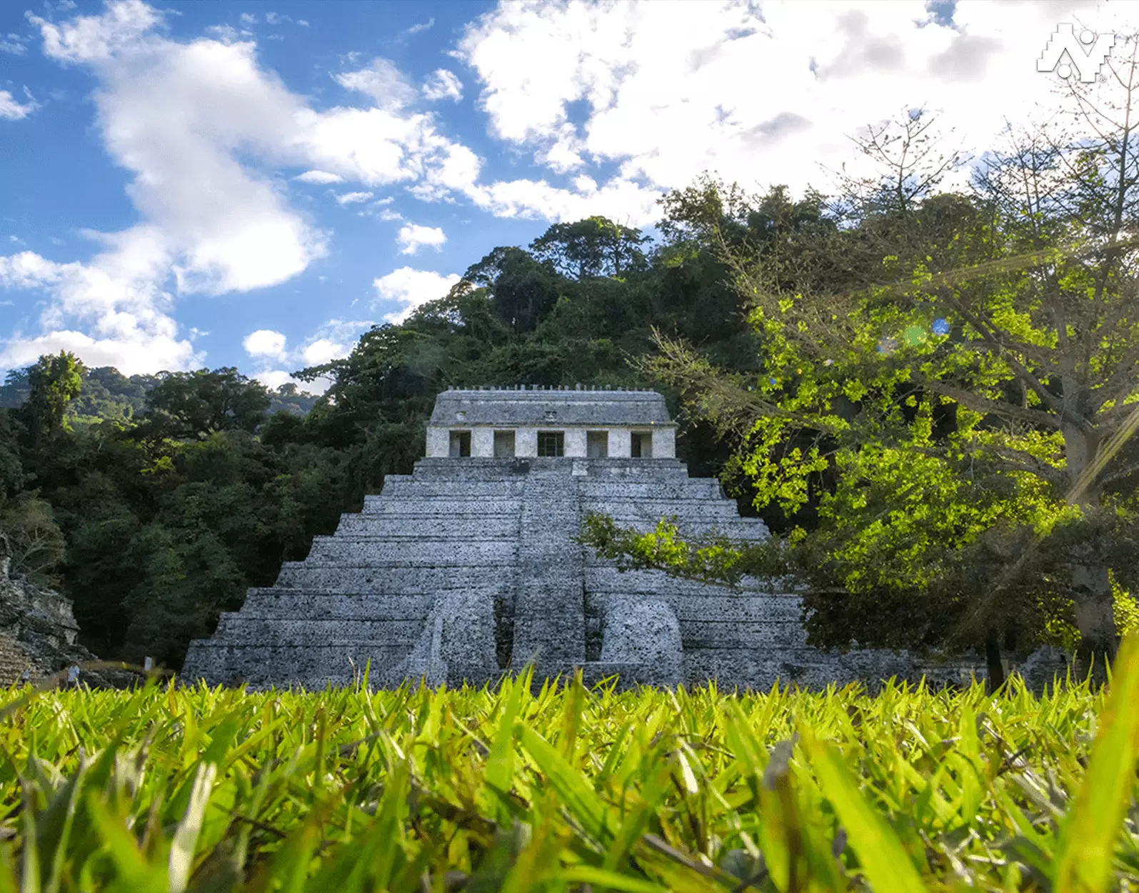 Palenque — imagen 3