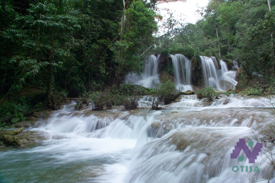 Selva y rios